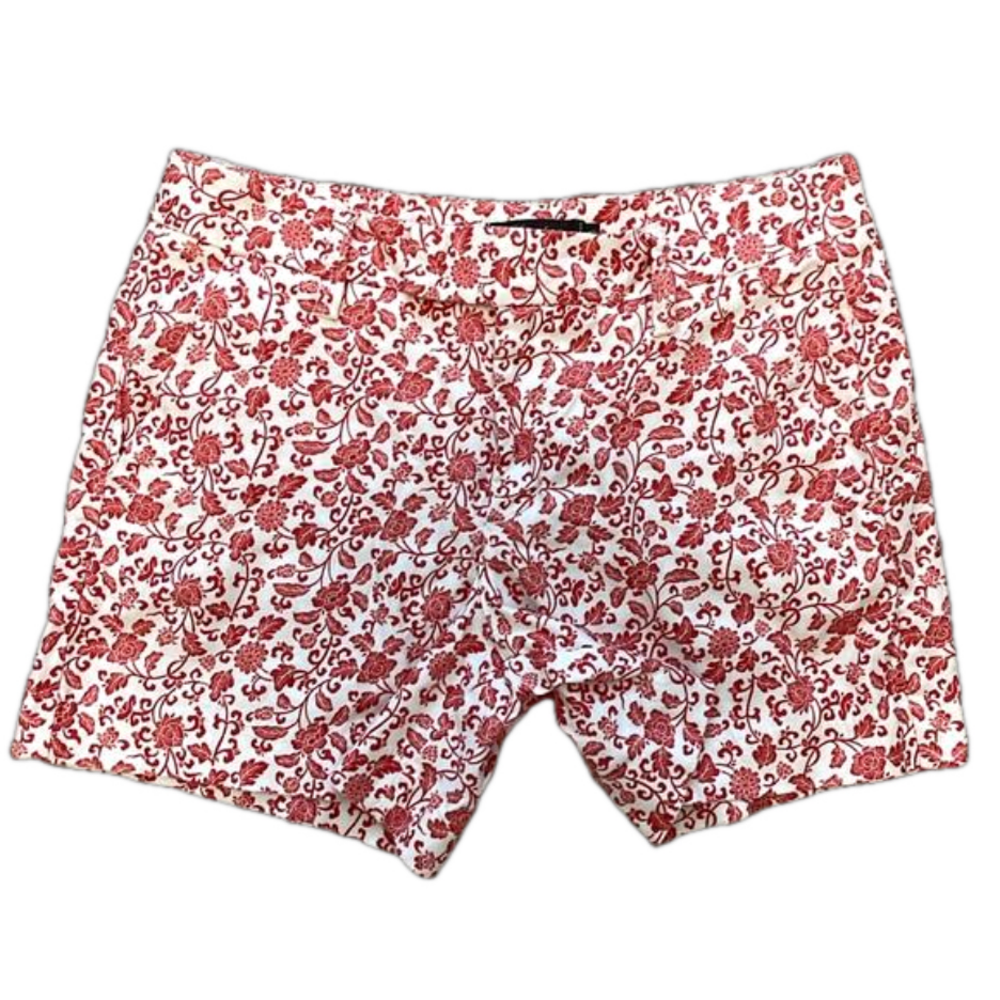 Level 99 red pattern shorts sz 27